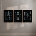 Anatomy Set (2) anatomy chart for clinics