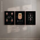 Dental Care Anatomy Set, Black Edition