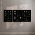 Posture Set (1) anatomy chart for clinics