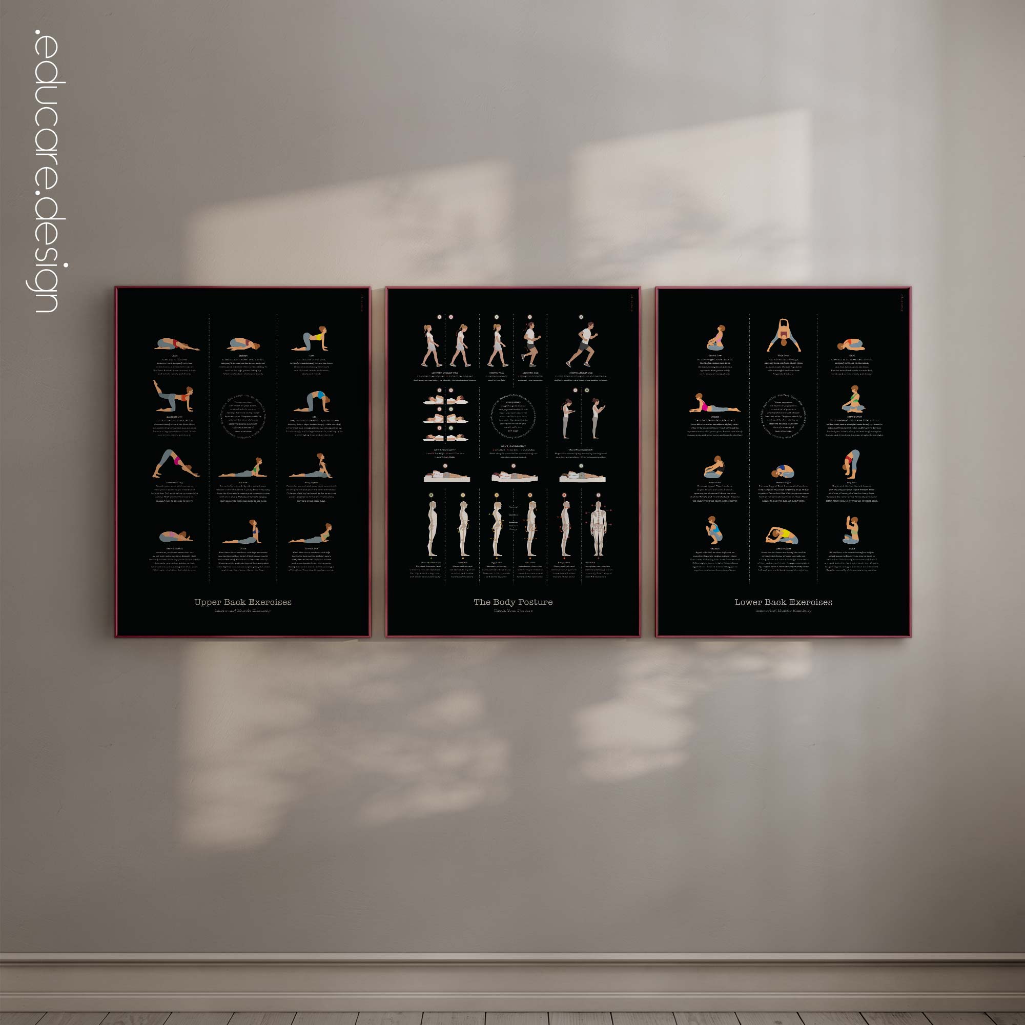 Posture Anatomy Set, Black Edition