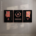 Reproductive Health Set anatomy chart for clinics