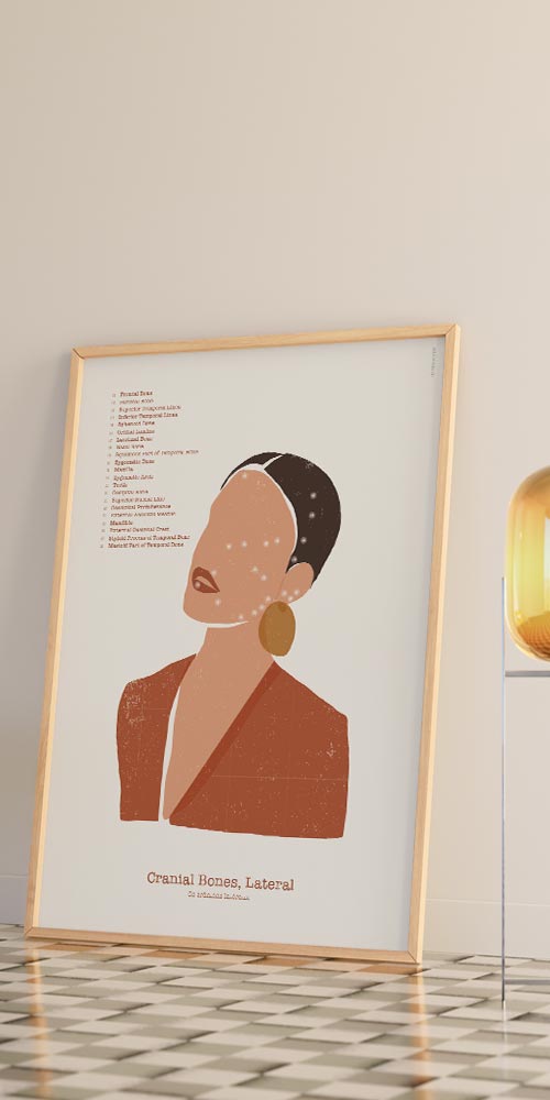 Abstract Lateral Cranial Bones