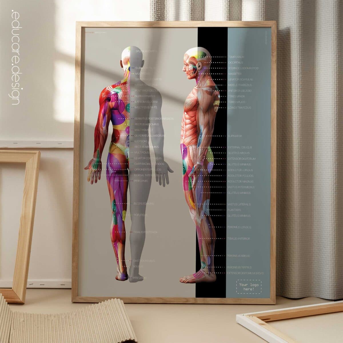 Myofascial Trigger Points Chart