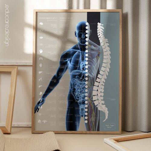 Myofascial Trigger Points Set anatomy chart for clinics Myofascial Trigger Points Set anatomy chart for clinics
