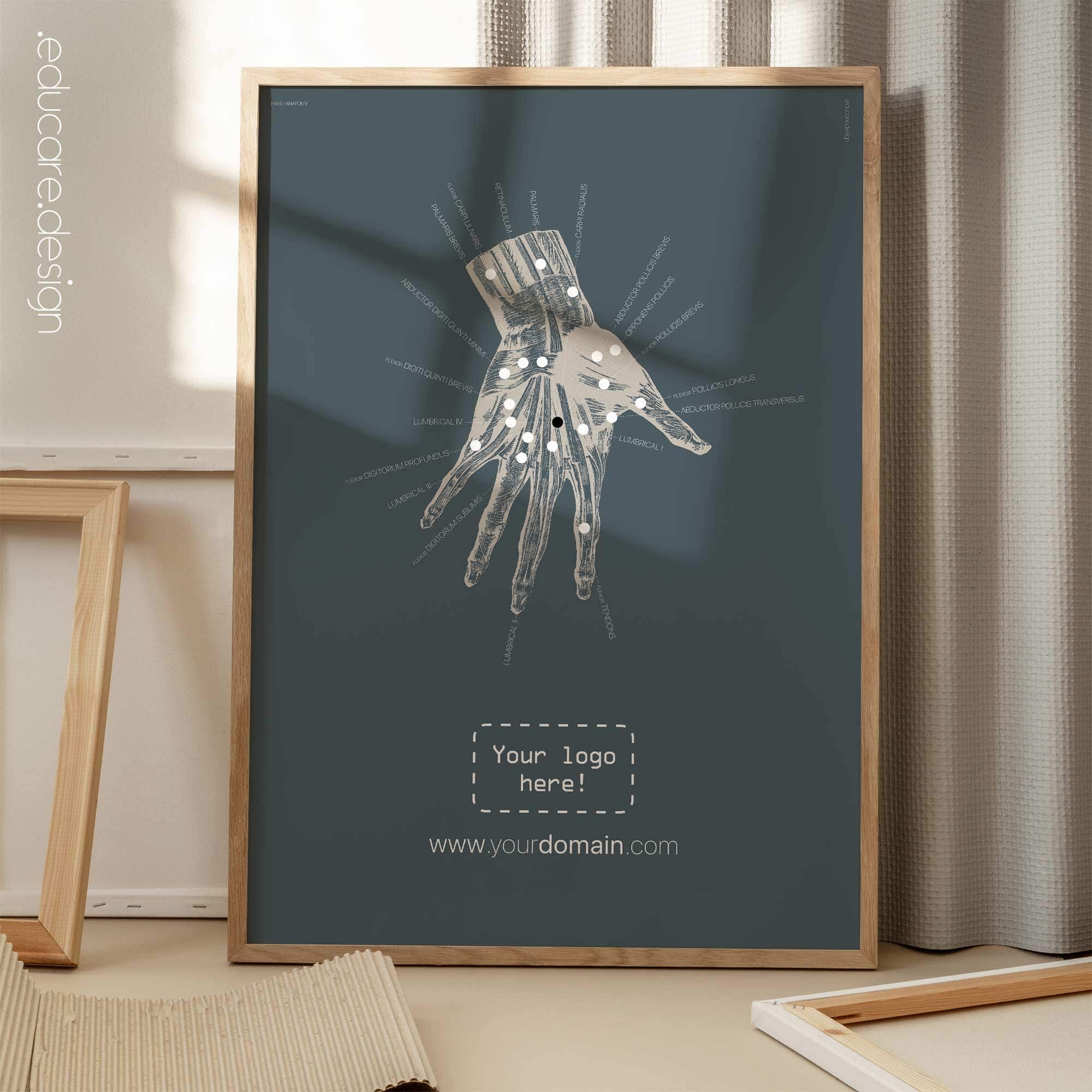 Anatomie der Hand. Klassische Anatomie von educare.design