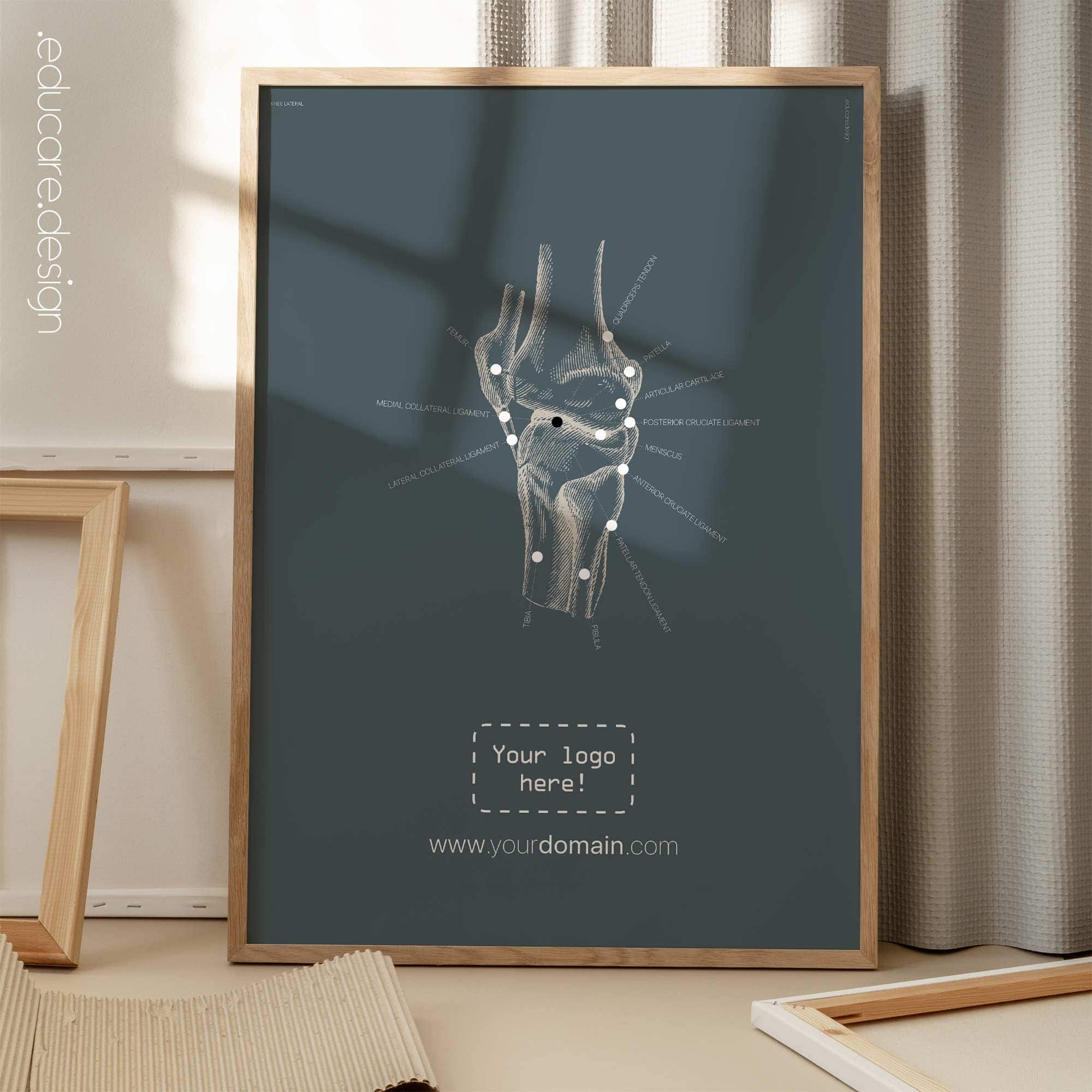 Genou humain, vue latérale. Œuvre d'art vintage sur l'anatomie et la physiologie d'educare.design