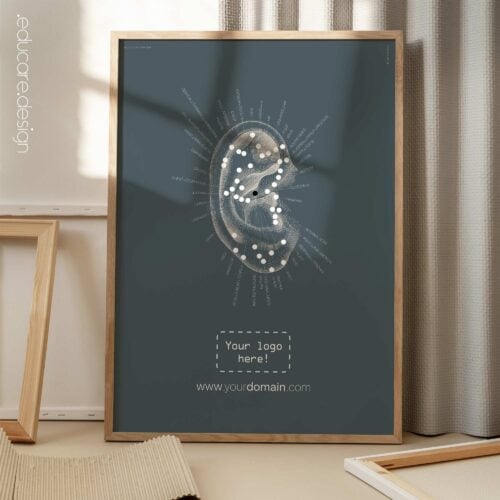 Grafico di riflessologia, orecchio. Opere d'arte vintage di anatomia e fisiologia da educare.design