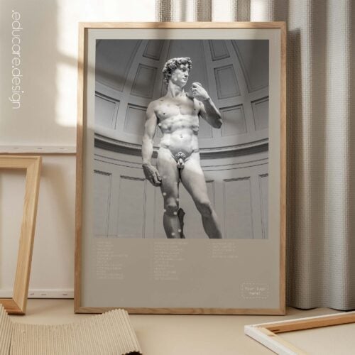 Système musculaire antérieur et David