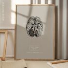Nervi cranici, sezione trasversale. Anatomia d'epoca da educare.design
