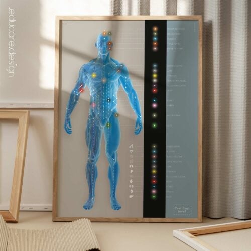 Canali meridiani. Opere d'arte di anatomia e fisiologia da educare.design