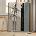 Affiche sur le système squelettique. Dessin d'anatomie et de physiologie d'educare.design
