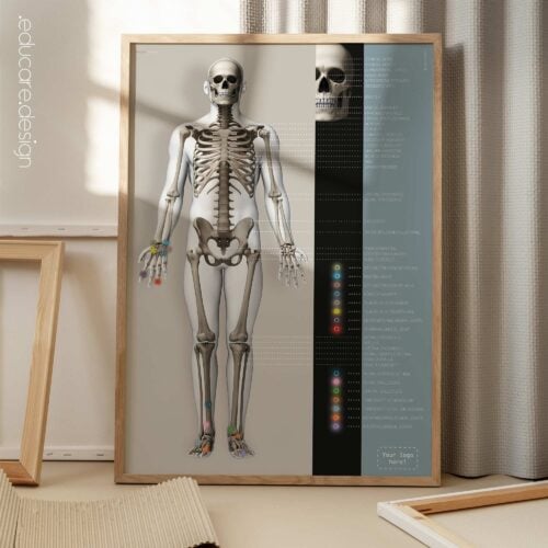 Poster sul sistema scheletrico. Opere d'arte di anatomia e fisiologia da educare.design