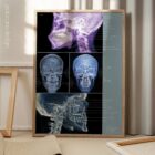 Disturbo dell'ATM. Opere d'arte di anatomia e fisiologia da educare.design