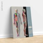 Myofascial Trigger Points Chart