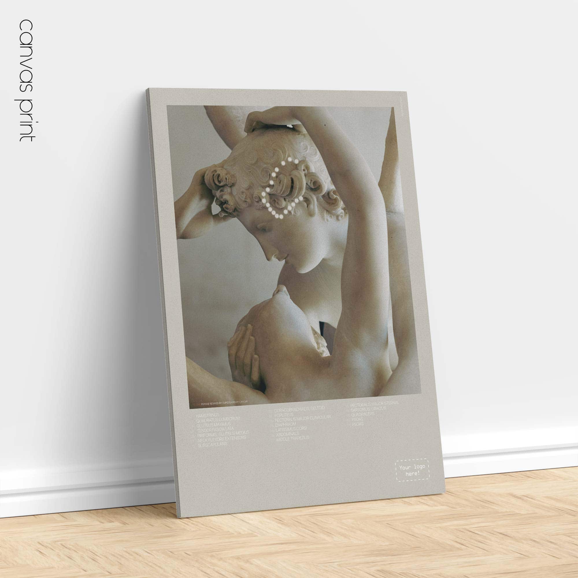 Temporal Sphenoid Line