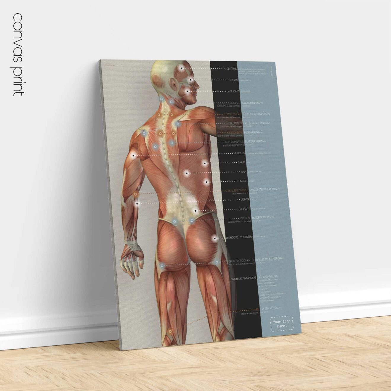 Fibromialgia; Punti dolenti e sintomi. Opere d'arte di anatomia e fisiologia da educare.design