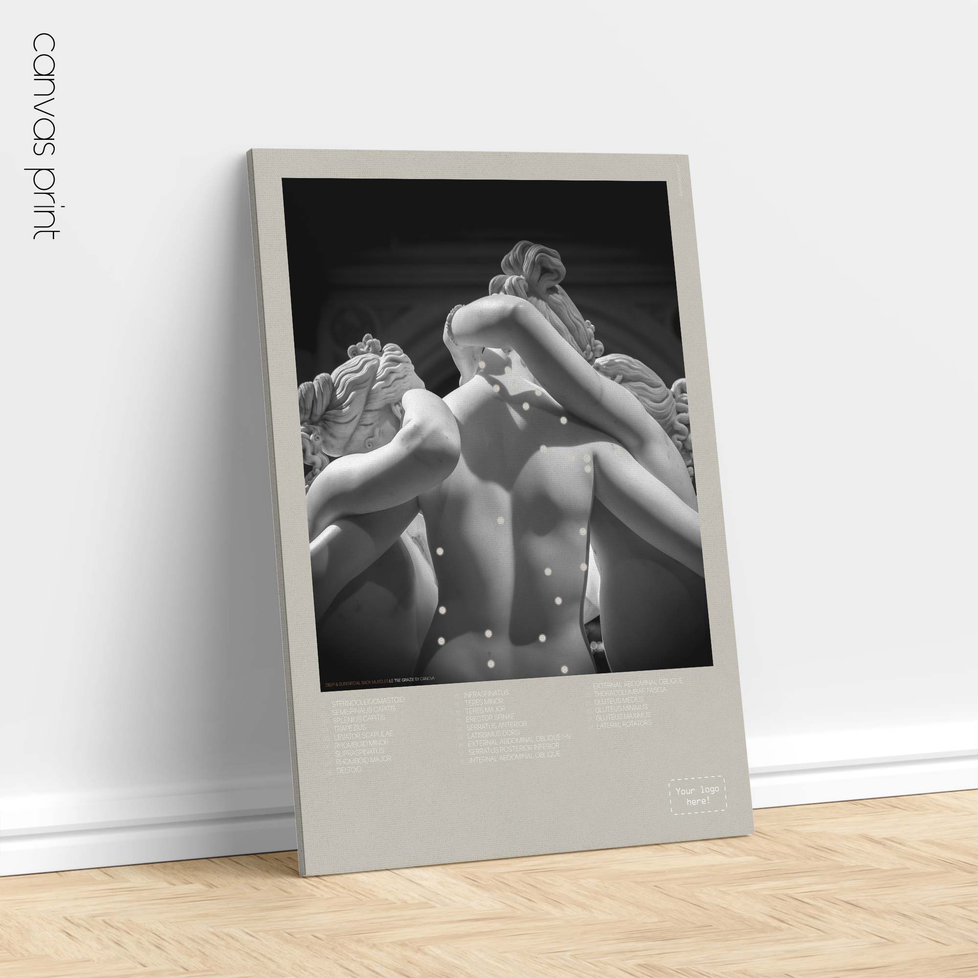 Grazie e muscoli della schiena