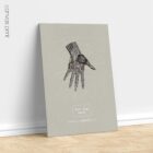 Anatomie der Hand. Klassische Anatomie von educare.design