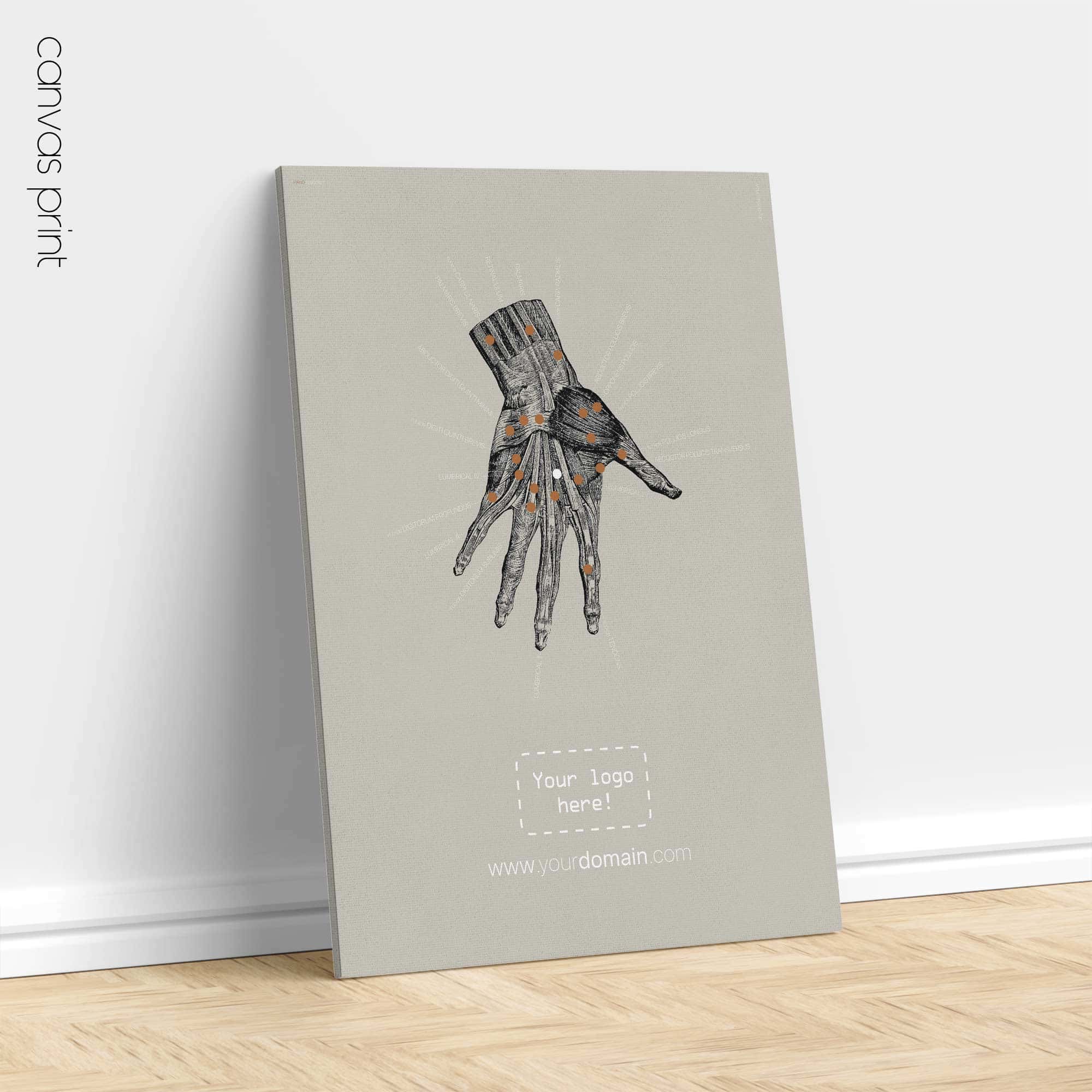 Anatomie der Hand. Klassische Anatomie von educare.design