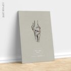 Genou humain, vue latérale. Œuvre d'art vintage sur l'anatomie et la physiologie d'educare.design