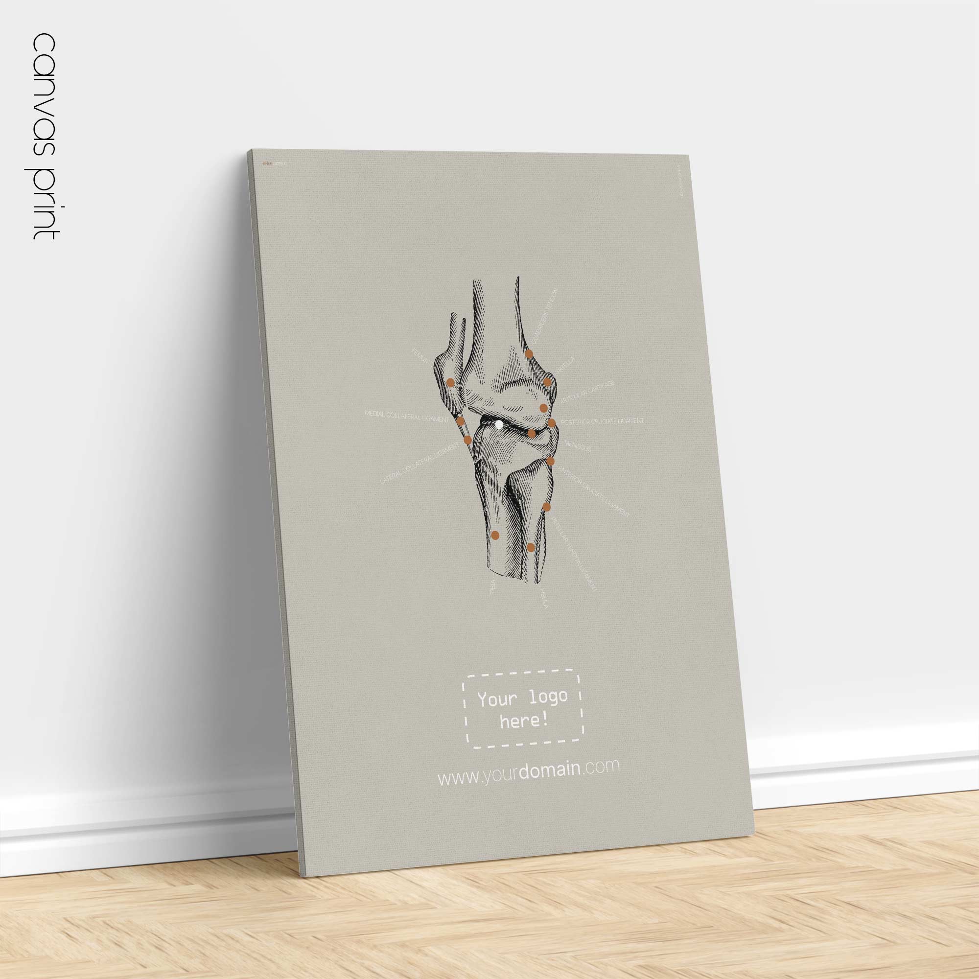 Genou humain, vue latérale. Œuvre d'art vintage sur l'anatomie et la physiologie d'educare.design