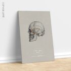 Linea sfenoidale temporale