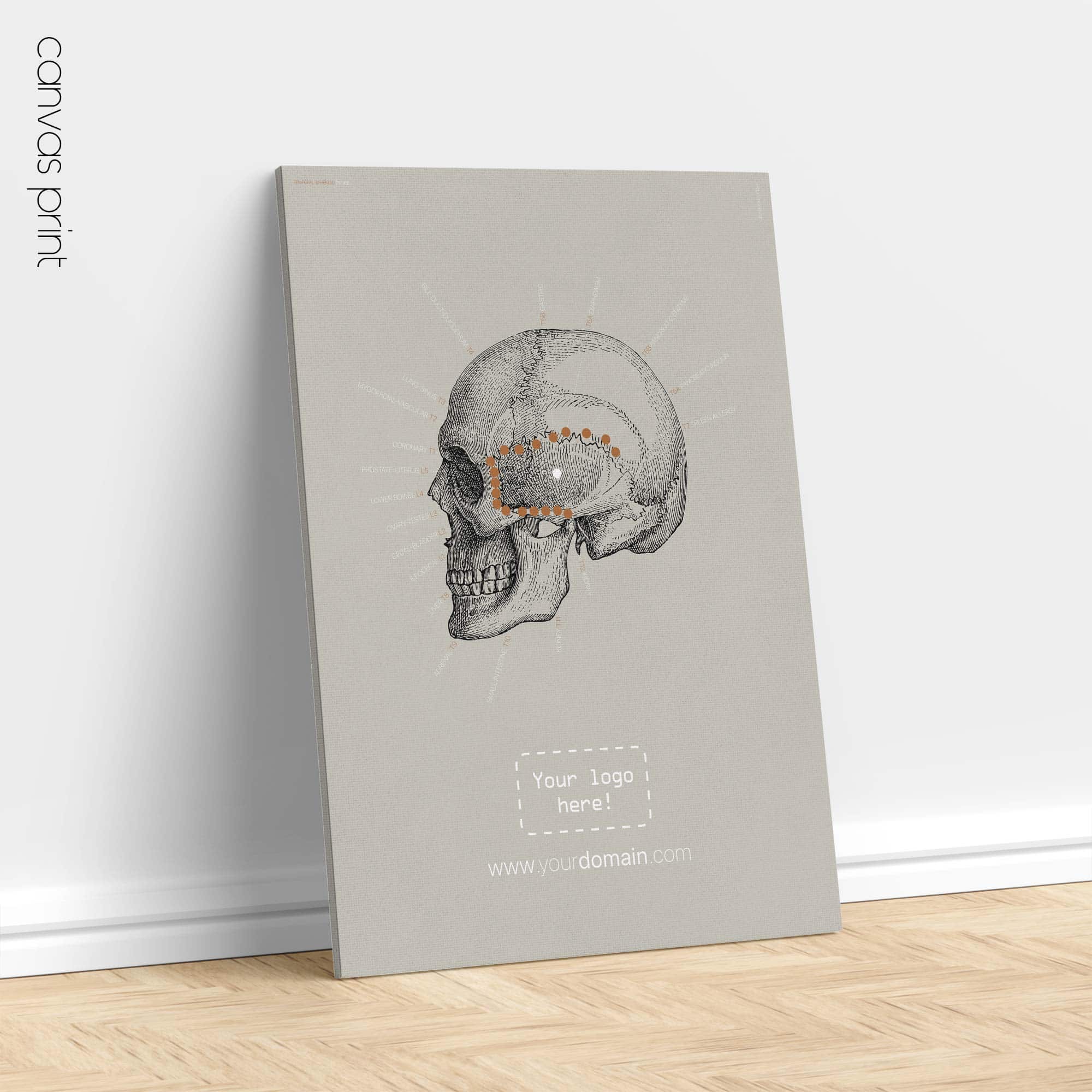 Linea sfenoidale temporale