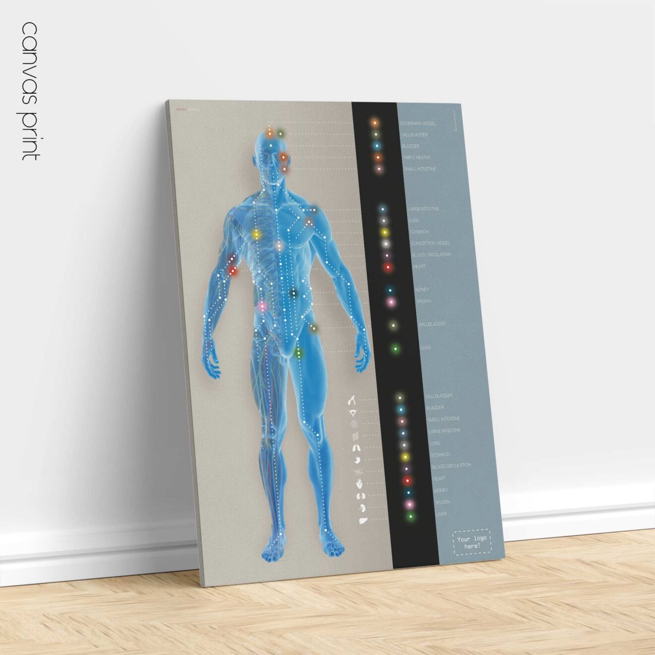 Canaux méridiens. Dessin d'anatomie et de physiologie d'educare.design
