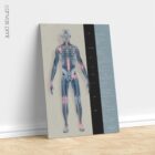 Osteoartrite. Opere d'arte di anatomia e fisiologia da educare.design