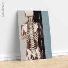 Posture Set (2) – educare.design Postural Assessment and Scoliosis. Anatomy and physiology artwork from educare.design