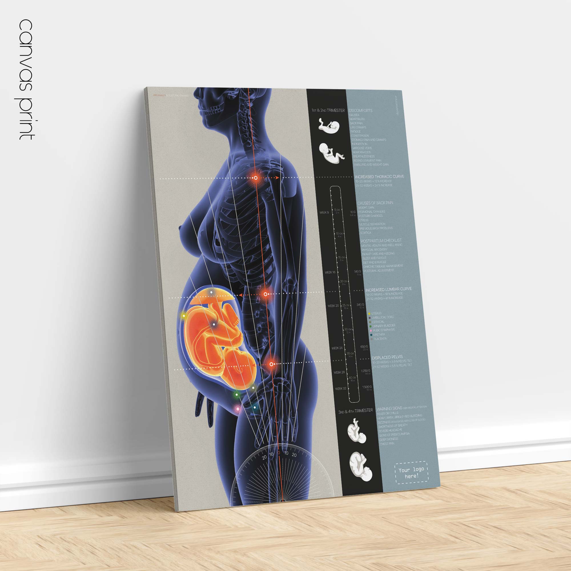 Pregnancy and Postural Changes