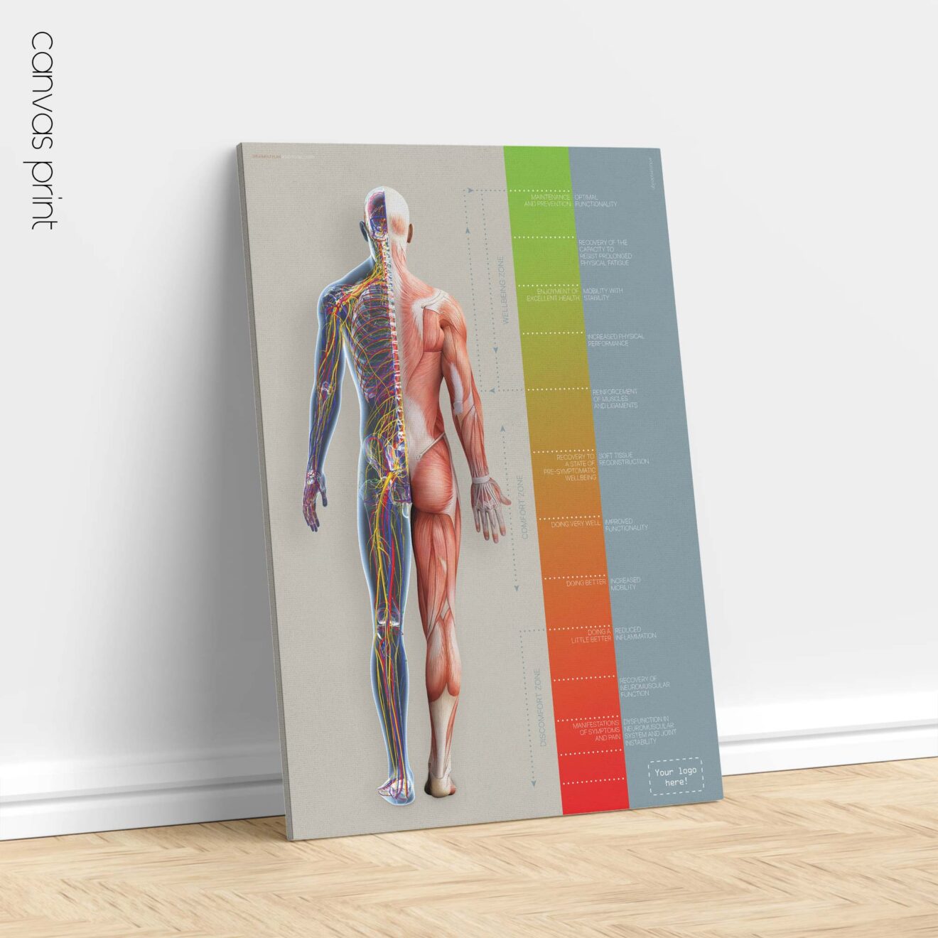 Chiropractic Treatment Plan (Road-to-Recovery)
