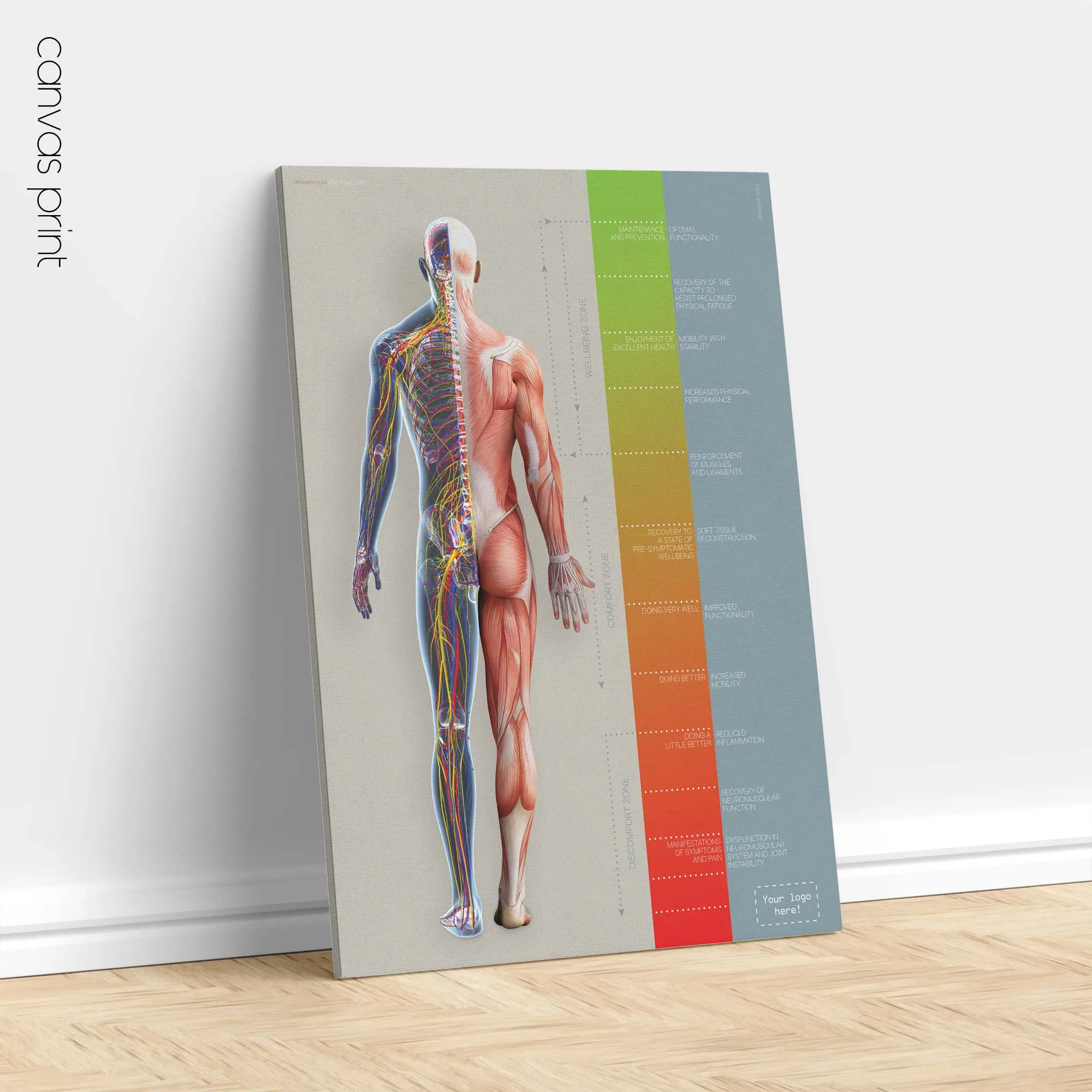 Warning Lights anatomy chart for clinics Warning Lights anatomy chart for clinics