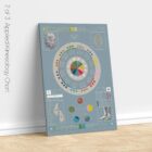 Applied Kinesiology Chart, set of 3 anatomy chart for clinics Applied Kinesiology Chart, set of 3 anatomy chart for clinics