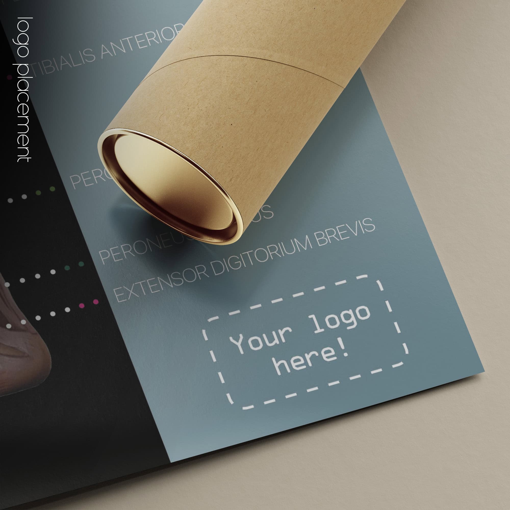 Myofascial Trigger Points Chart