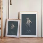 Anatomie der Hand. Klassische Anatomie von educare.design