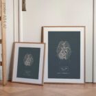 Nervi cranici, sezione trasversale. Anatomia d'epoca da educare.design