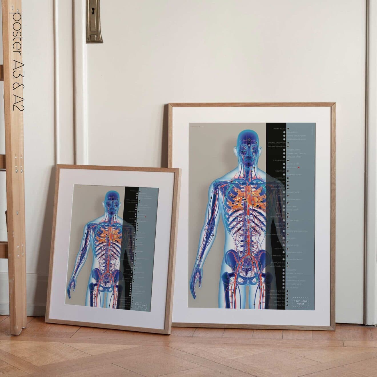 Herz-Kreislauf-System Kunstwerk von educare.design