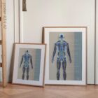 Systèmes circulatoire et nerveux. Dessin d'anatomie et de physiologie d'educare.design