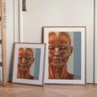 Muscles cranio-faciaux. Dessin d'anatomie et de physiologie d'educare.design