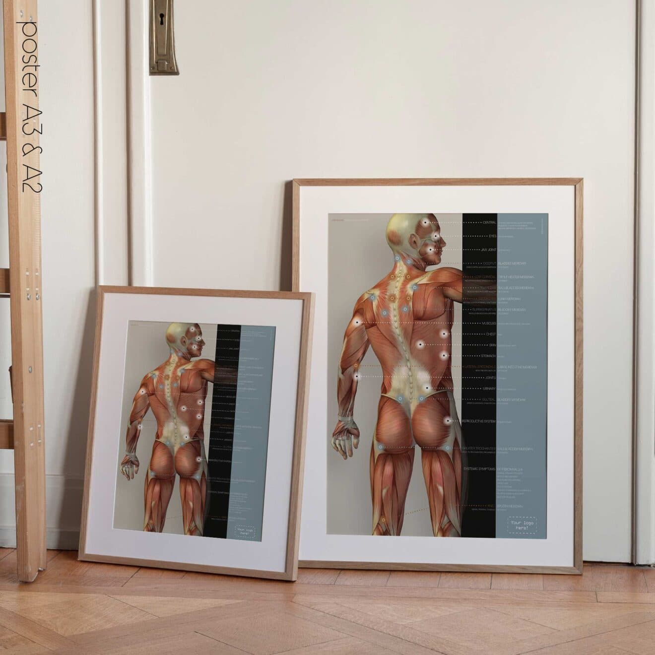 Fibromialgia; Punti dolenti e sintomi. Opere d'arte di anatomia e fisiologia da educare.design