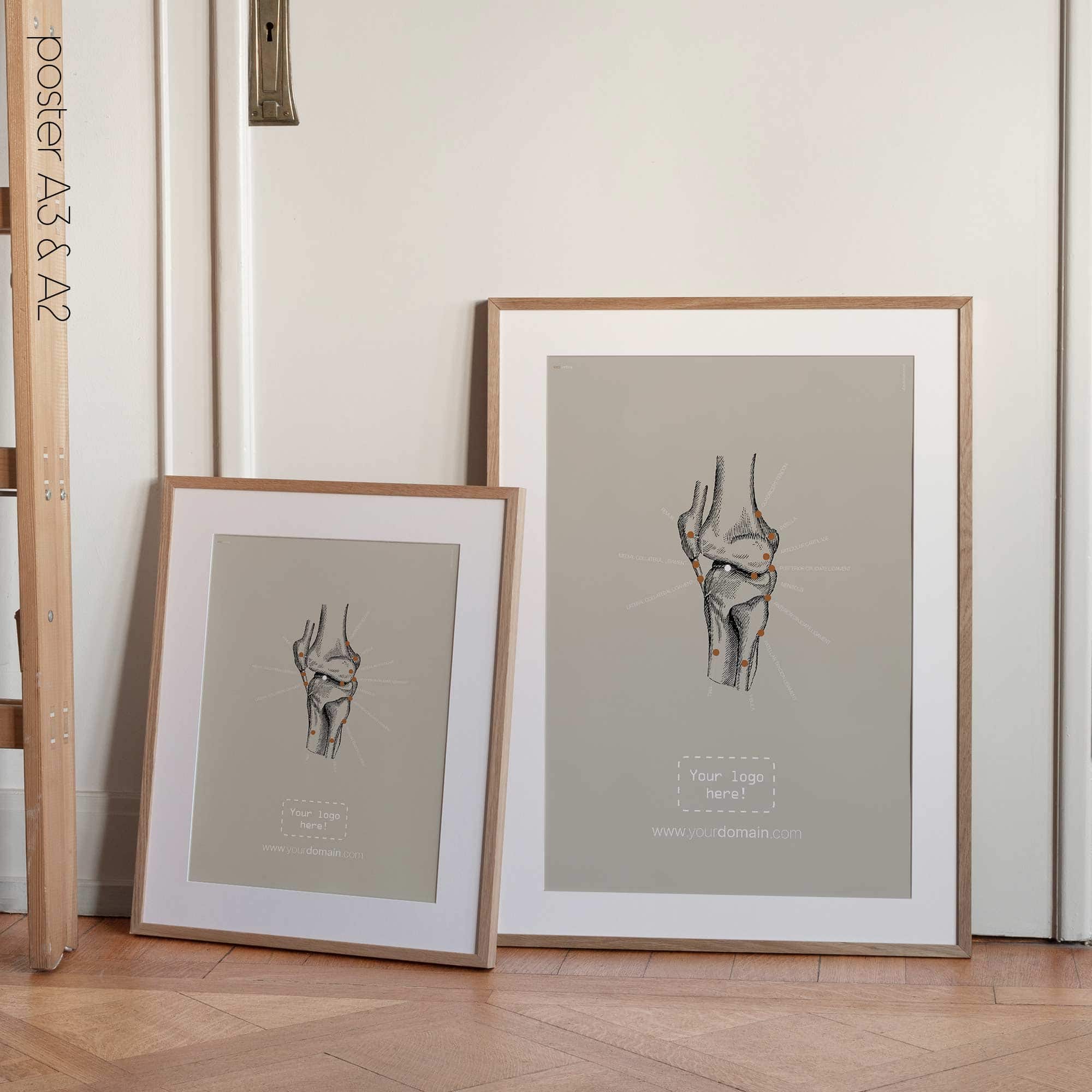 Genou humain, vue latérale. Œuvre d'art vintage sur l'anatomie et la physiologie d'educare.design