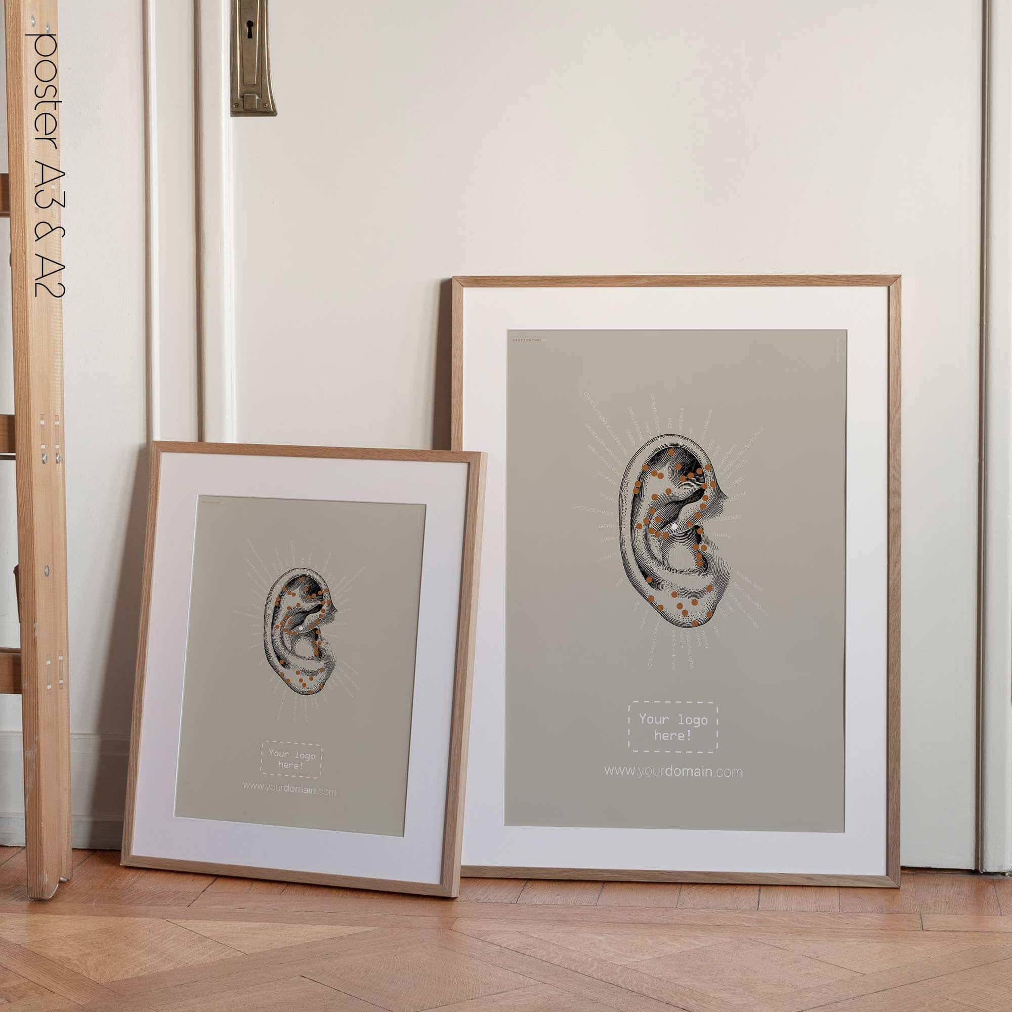 Reflexology Chart, Ear. Vintage anatomy and physiology artwork from educare.design