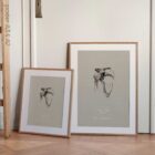 Human Shoulder, Frontal view. Vintage anatomy and physiology artwork from educare.design