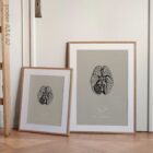 Nervi cranici, sezione trasversale. Anatomia d'epoca da educare.design