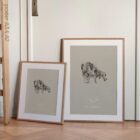 Orecchio, sezione trasversale. Anatomia d'epoca da educare.design