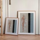 Lymphatisches System, Anatomie und Physiologie Kunstwerke von educare.design