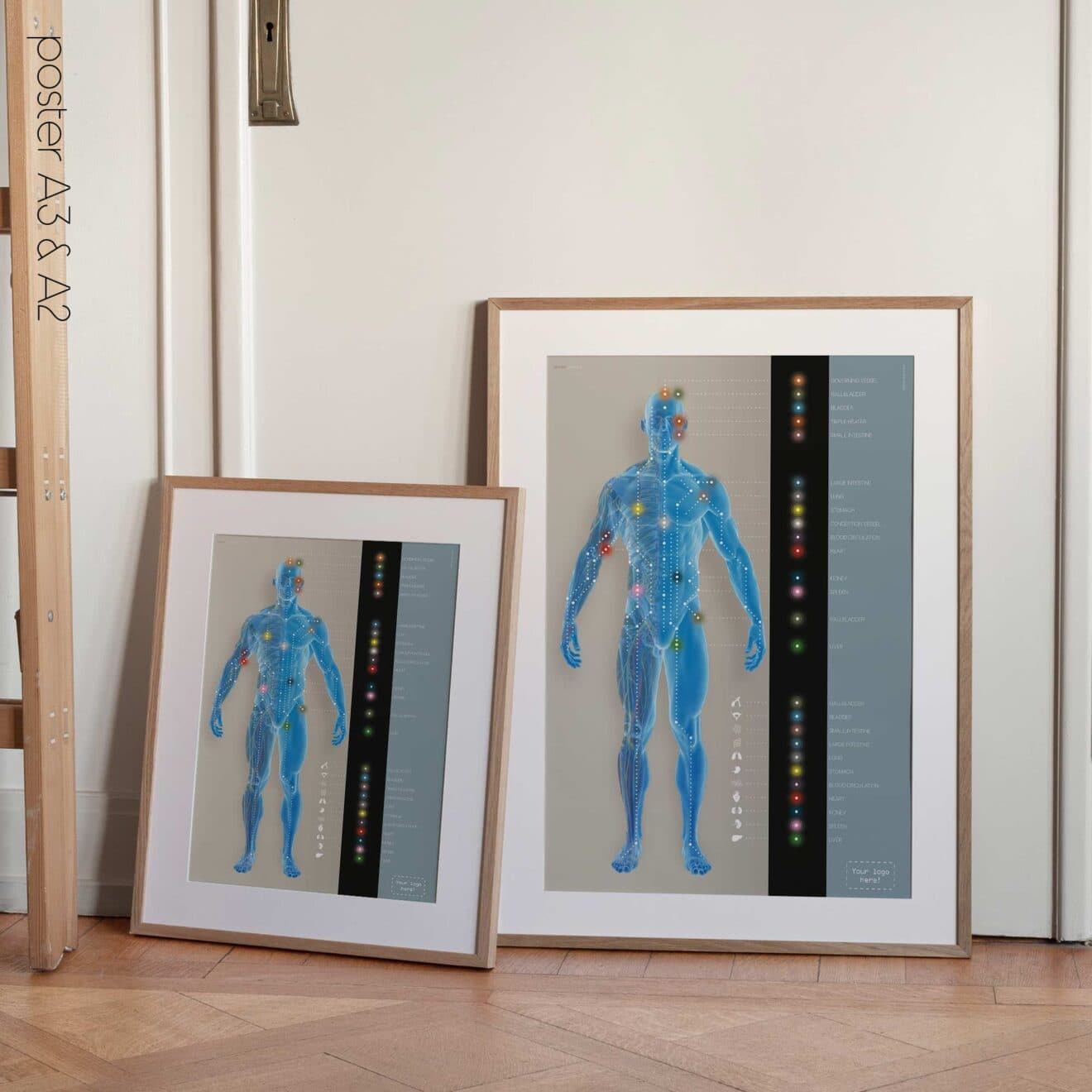 Canaux méridiens. Dessin d'anatomie et de physiologie d'educare.design