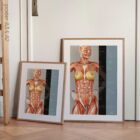 Nutritional Energy Reflex Points (NERP) – educare.design Points réflexes de l'énergie nutritionnelle. Dessin d'anatomie et de physiologie d'educare.design