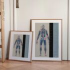 Osteoartrite. Opere d'arte di anatomia e fisiologia da educare.design